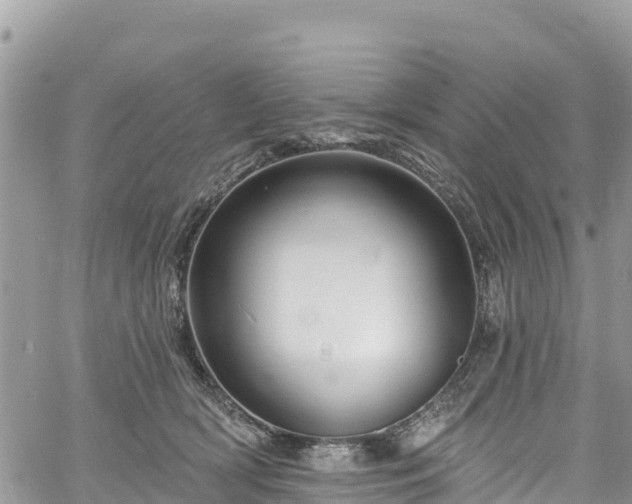 X0000061150418200511211006