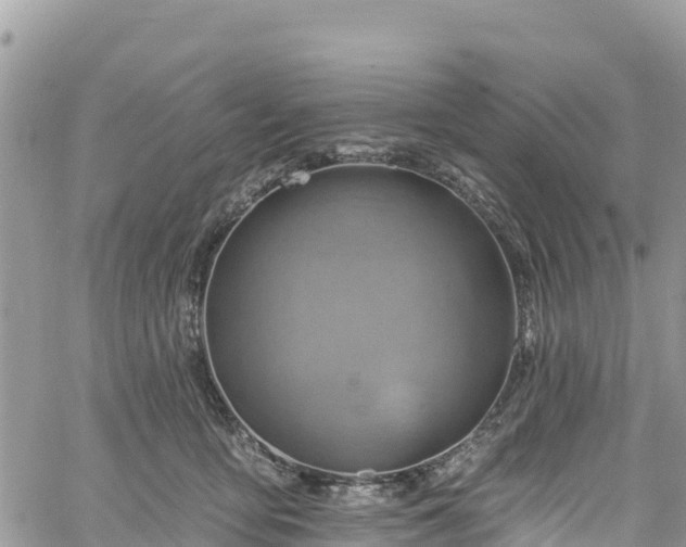 X0000061150419200511211006