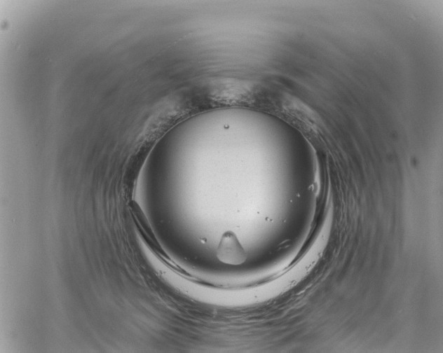 X0000061150420200511211006