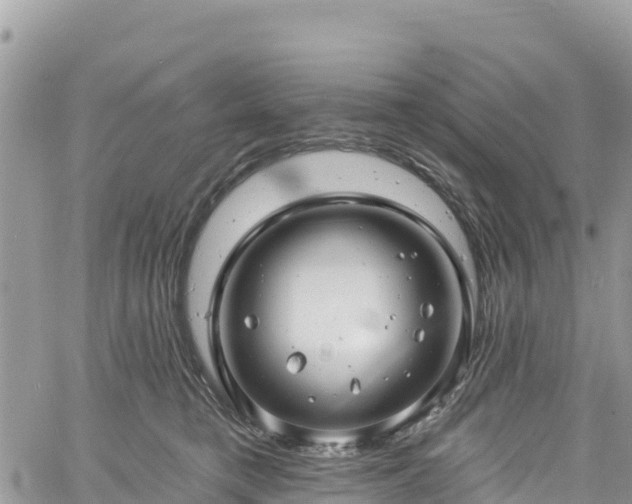 X0000061150421200511211006