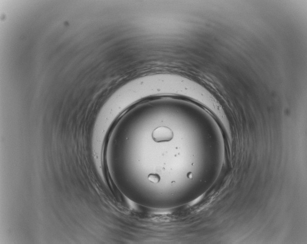 X0000061150423200511211006