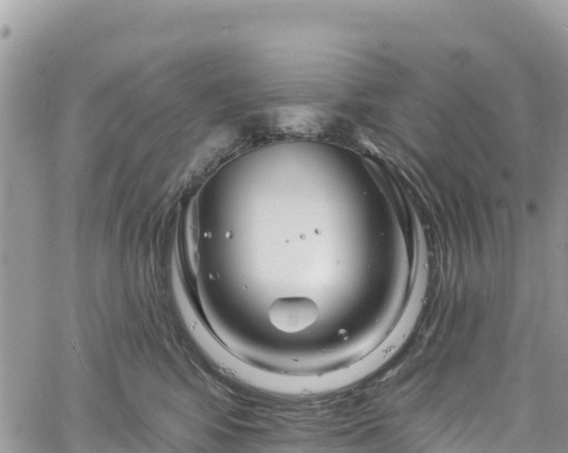 X0000061150424200511211006