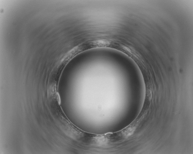 X0000061150425200511211006