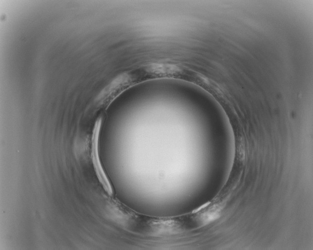 X0000061150428200511211006