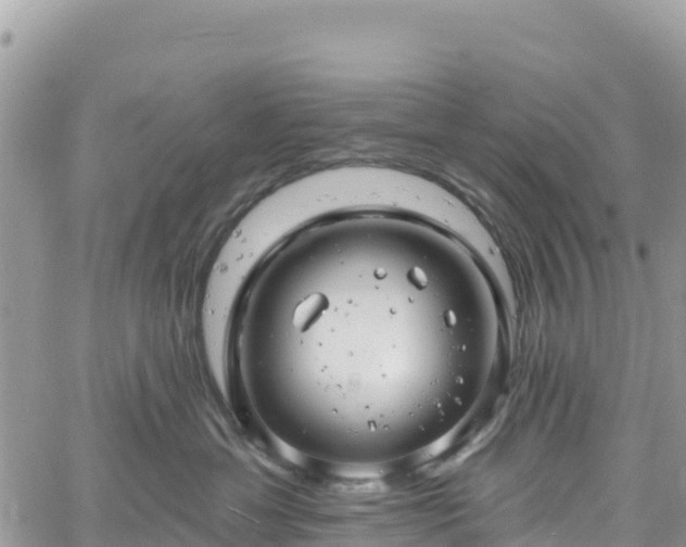 X0000061150429200511211006