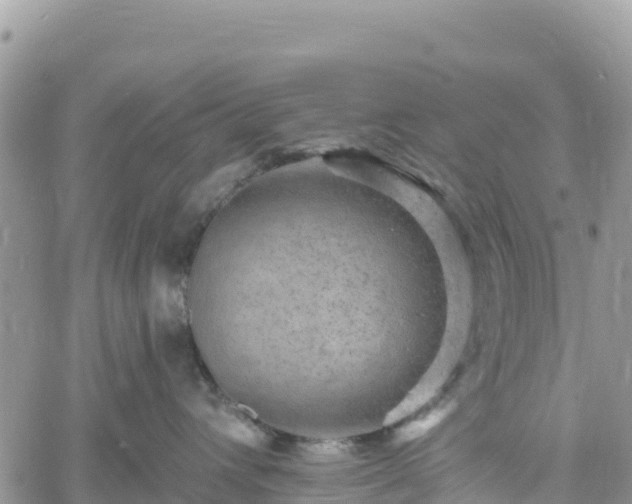 X0000061150432200511211006