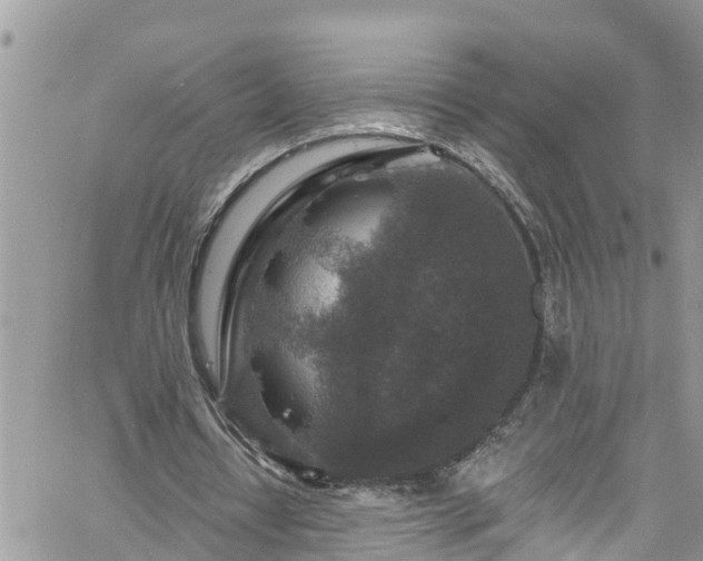 X0000061150434200511211005