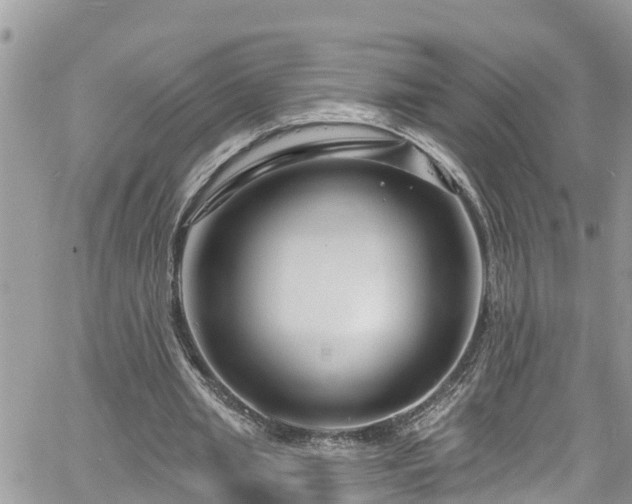 X0000061150437200511211005