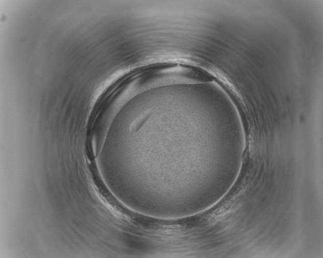 X0000061150438200511211005