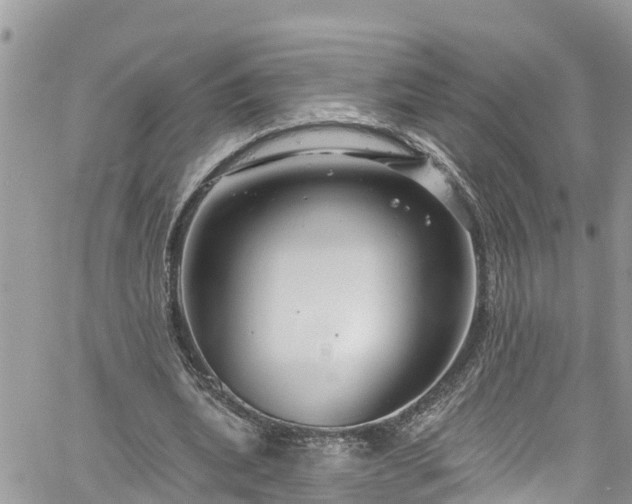 X0000061150439200511211005