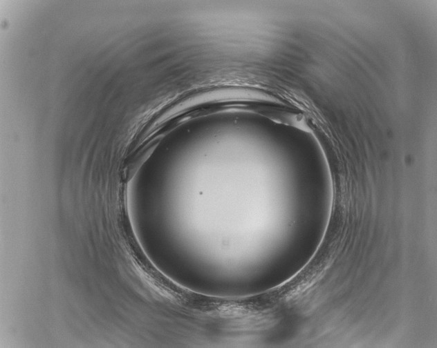 X0000061150441200511211005