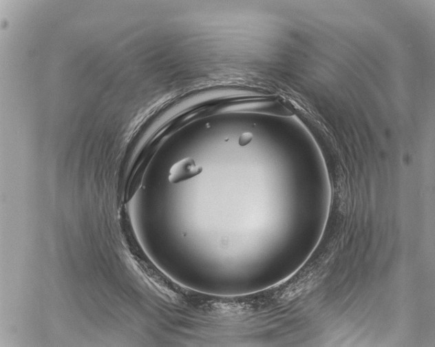 X0000061150442200511211006