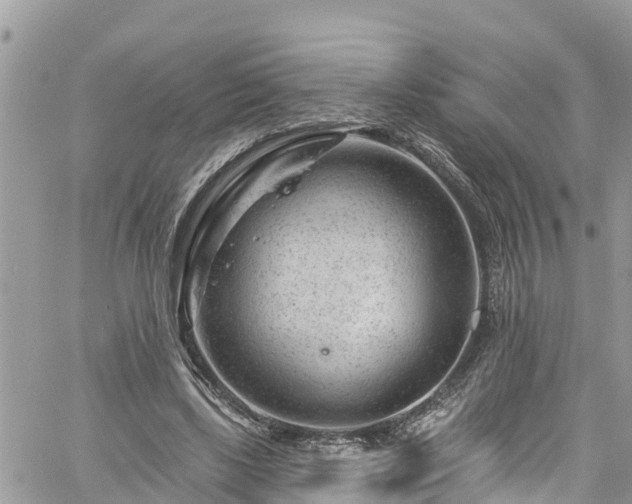 X0000061150443200511211006