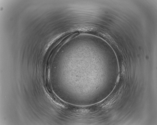 X0000061150444200511211006