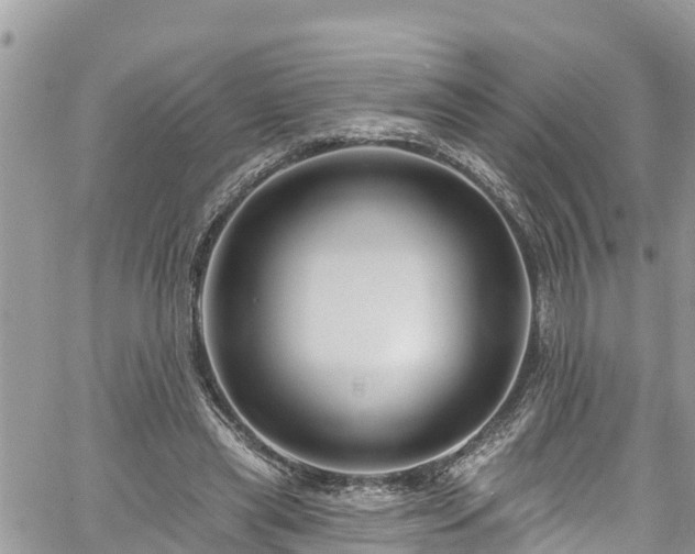 X0000061150445200511211006