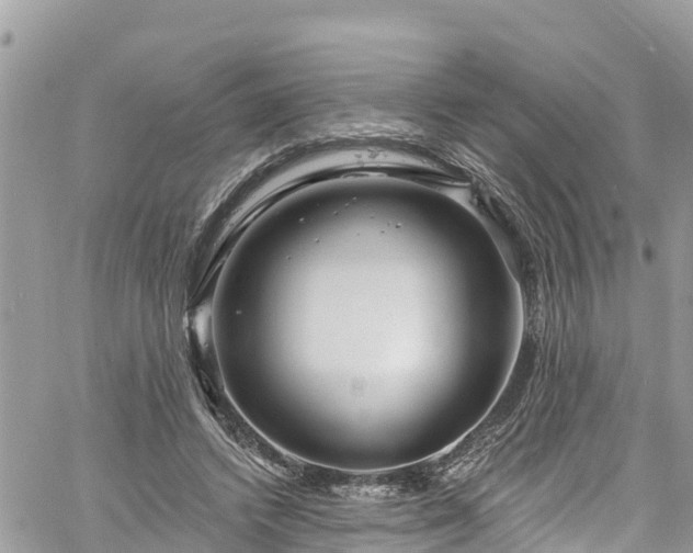 X0000061150448200511211006