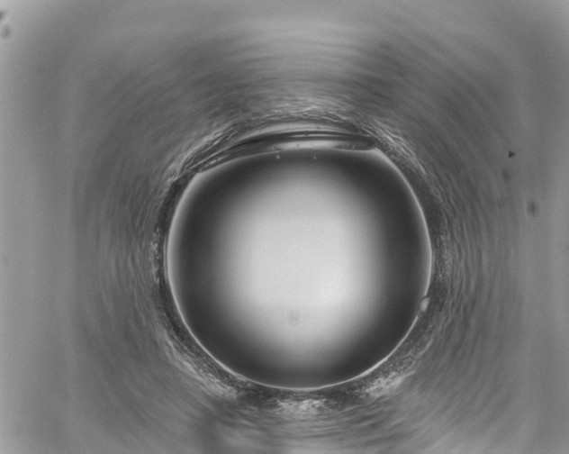 X0000061150450200511211006