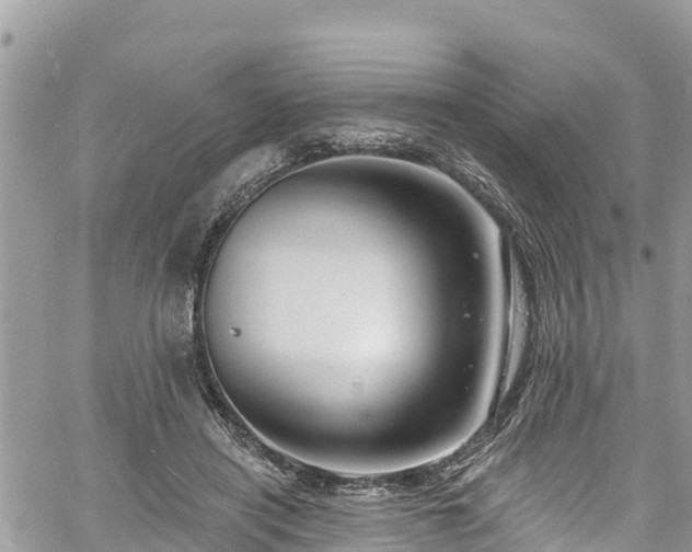 X0000061150454200511211006