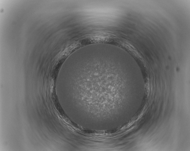 X0000061150458200511211006