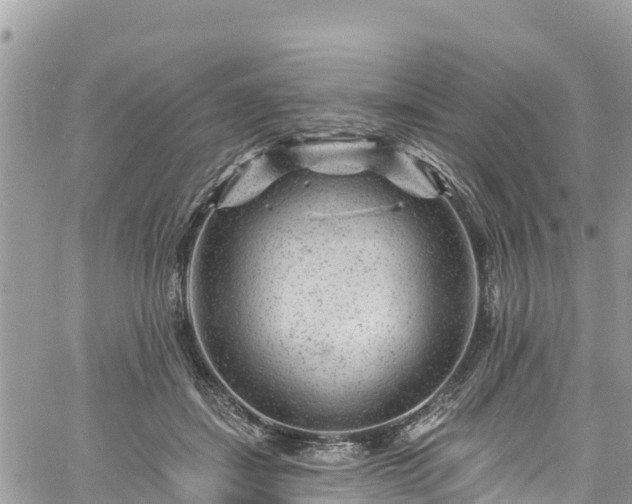 X0000061150459200511211006