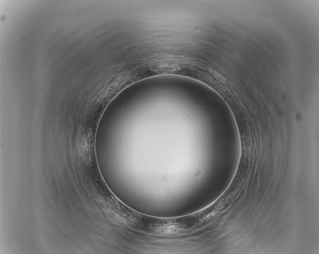 X0000061150460200511211006