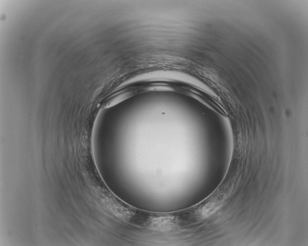 X0000061150461200511211006