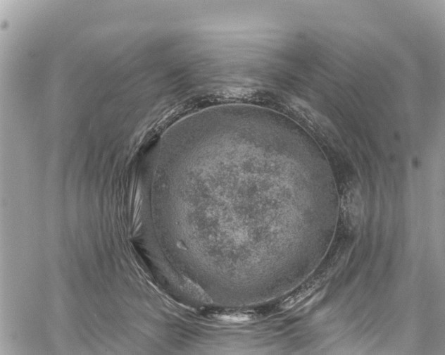 X0000061150462200511211006