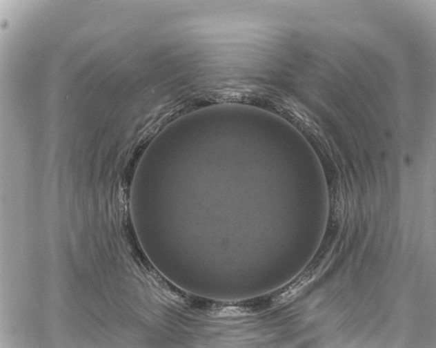 X0000061150467200511211006