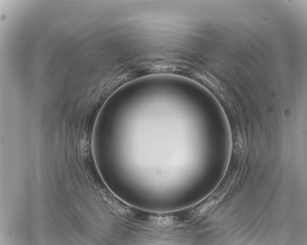 X0000061150469200511211006