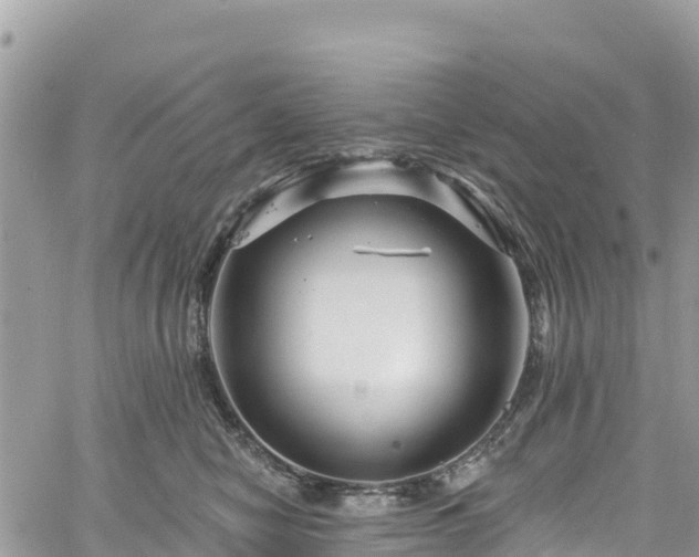 X0000061150470200511211006