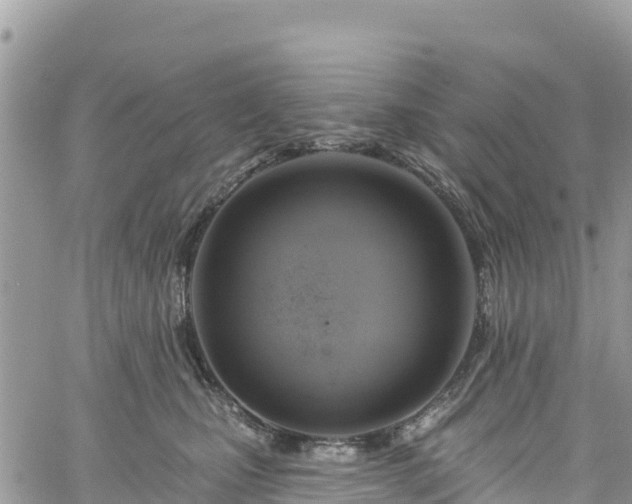 X0000061150471200511211006