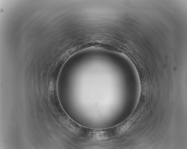 X0000061150472200511211006