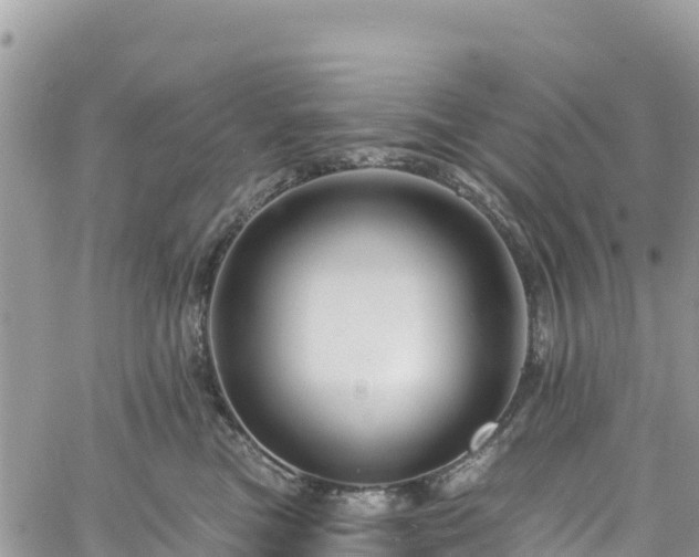 X0000061150473200511211006