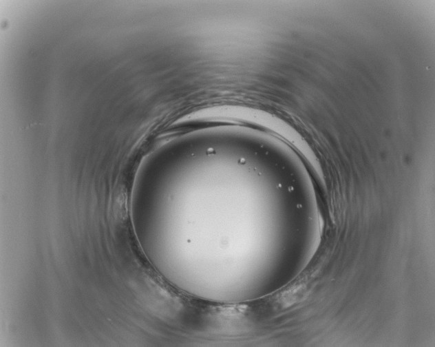 X0000061150474200511211006