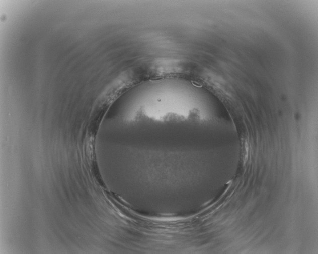 X0000061150475200511211006