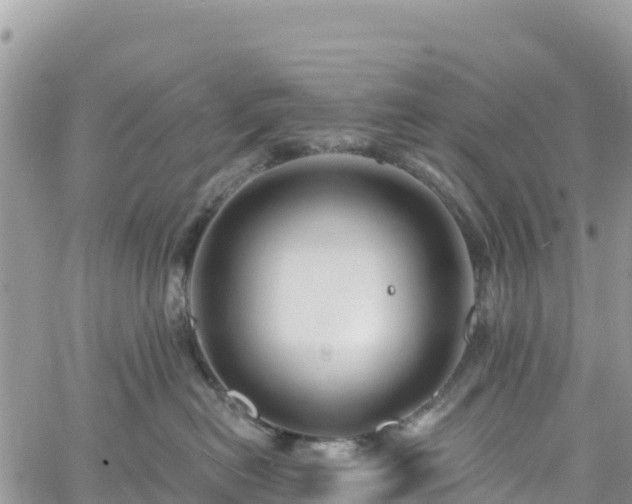 X0000061150478200511211006