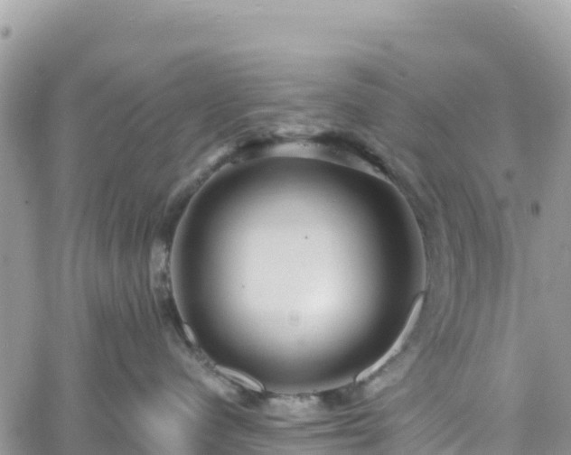 X0000061150480200511211006