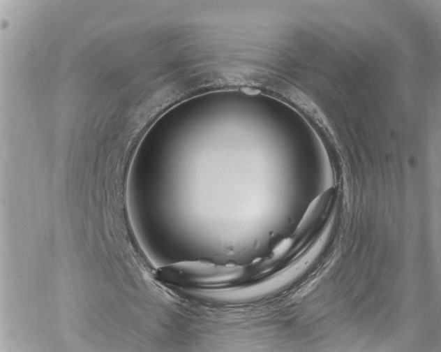 X0000061150481200511211005