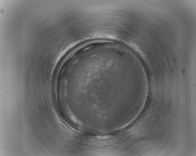 X0000061150488200511211005