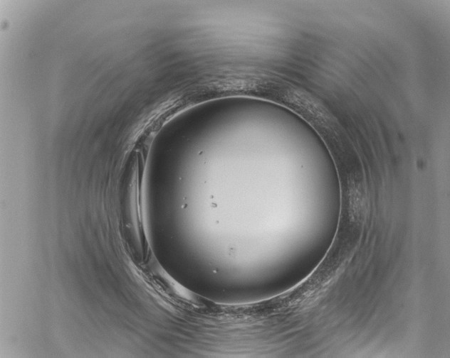 X0000061150490200511211005