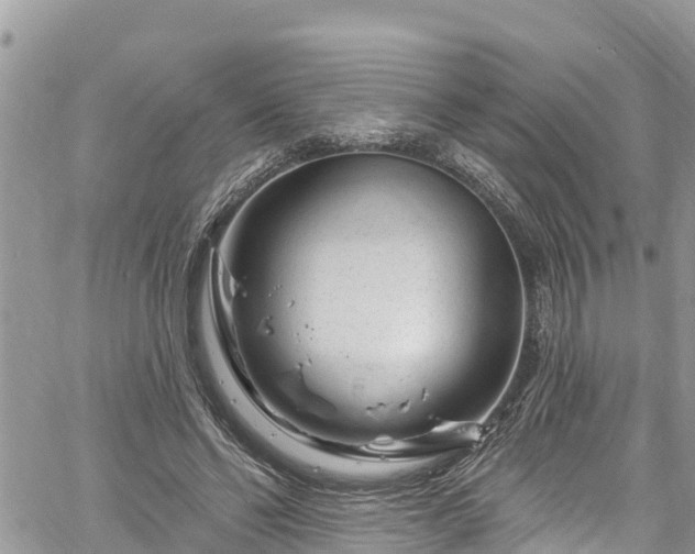 X0000061150494200511211005