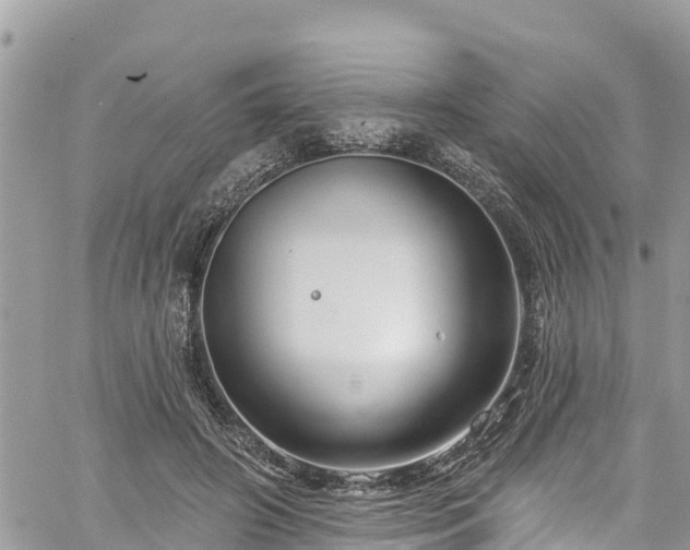 X0000061150498200511211005