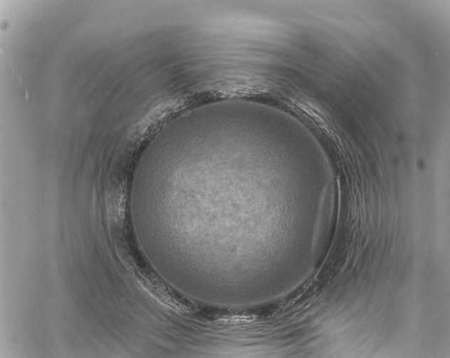 X0000061150499200511211005