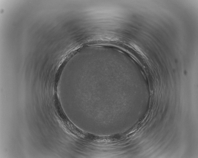 X0000061150500200511211005