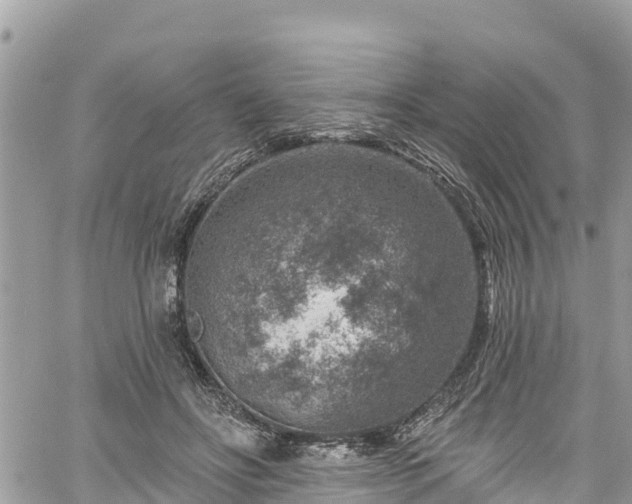 X0000061150502200511211005