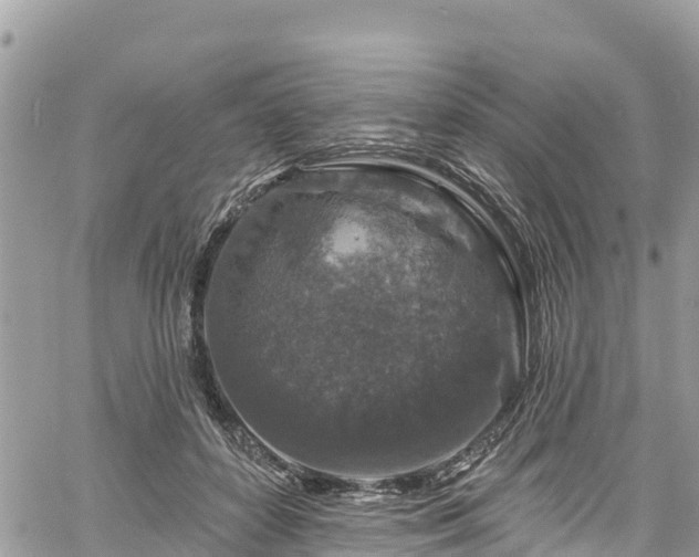 X0000061150504200511211005