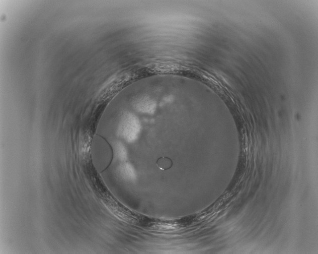 X0000061150507200511211005