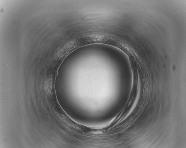 X0000061150509200511211005