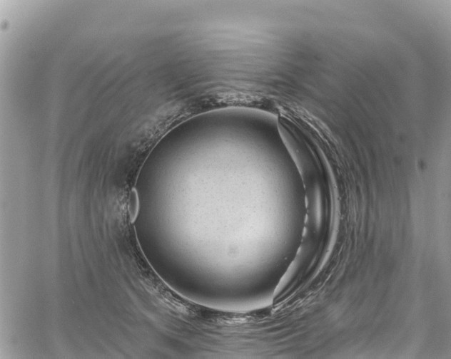 X0000061150513200511211005