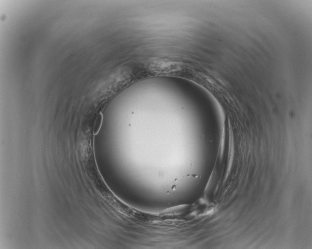 X0000061150515200511211005